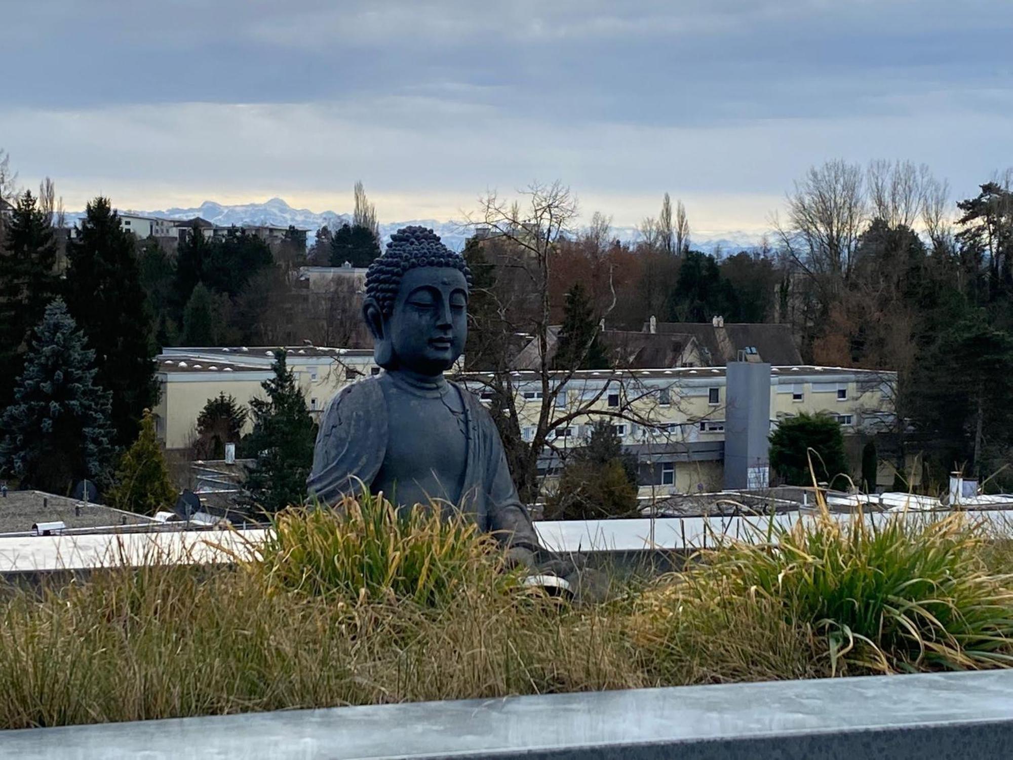 Penthouse - 3 Schlafzimmer- Sonnige Dachterrasse -Whirlpool & Alpenblick - Perfekt Fuer Romantik Oder Familienurlaub Mit Kind, Hund Willkommen - By Ferienwohnenamsee - 于伯林根 外观 照片