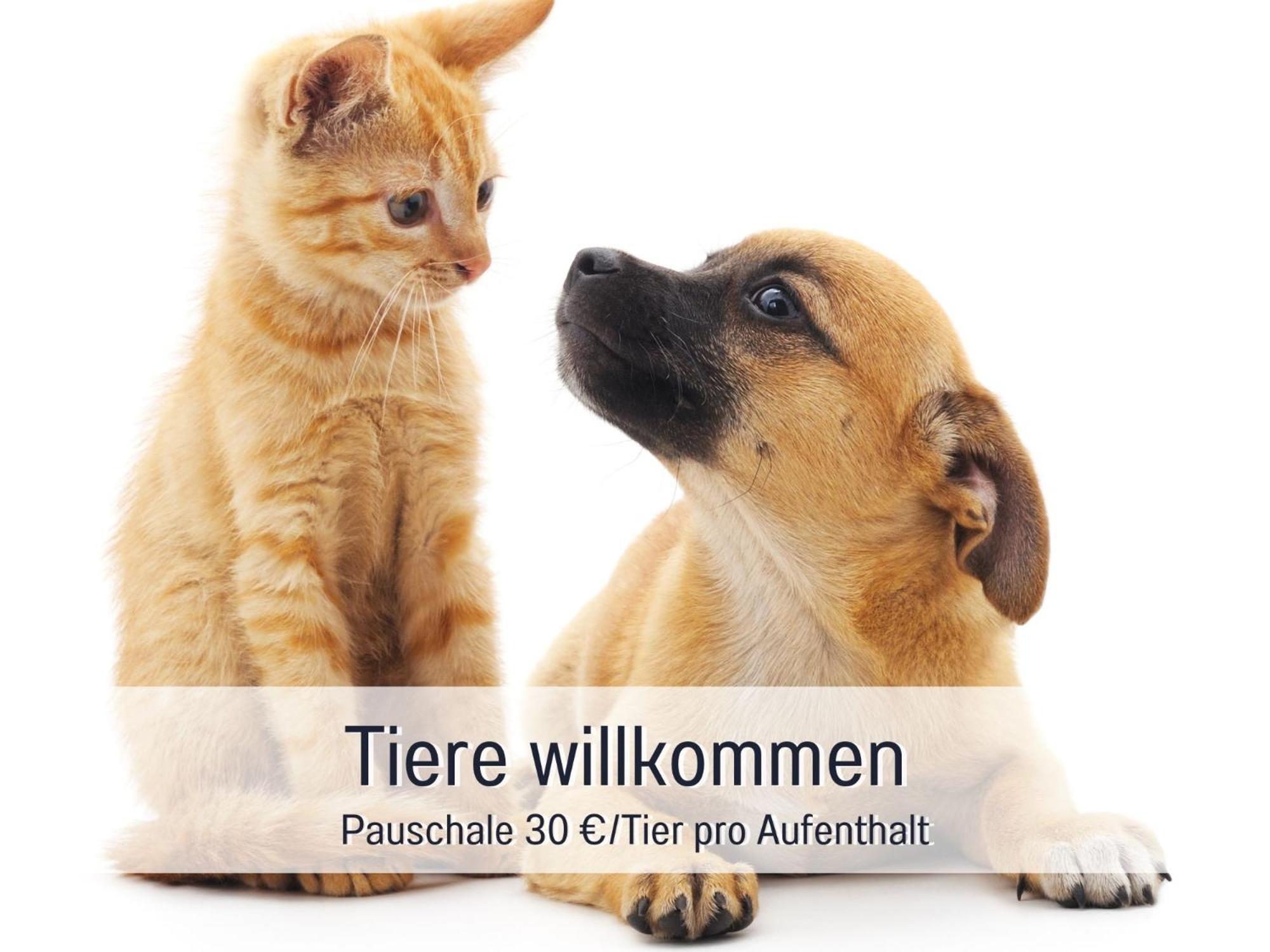 Penthouse - 3 Schlafzimmer- Sonnige Dachterrasse -Whirlpool & Alpenblick - Perfekt Fuer Romantik Oder Familienurlaub Mit Kind, Hund Willkommen - By Ferienwohnenamsee - 于伯林根 外观 照片